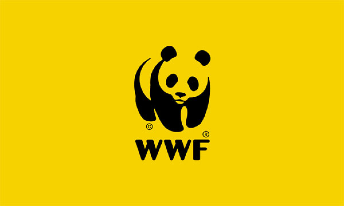 “Ripascimento rigido contro l’erosione delle coste a Latina, da Foce Verde a Capoportiere”: insorge il WWF Lazio. - 