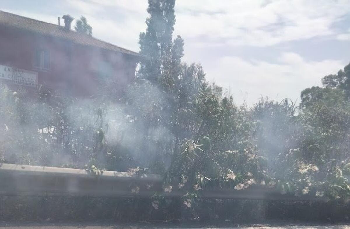 La Protezione civile del Lazio scrive a tutti i Comuni invitandoli ad adottare le misure di prevenzione antincendio - 