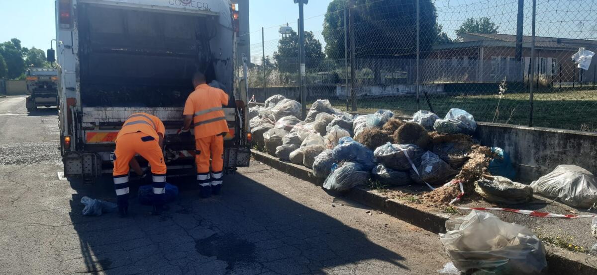 Campoverde - Intervento straordinario della Progetto Ambiente. Rimossi i sacchi di sfalci abbandonati - 