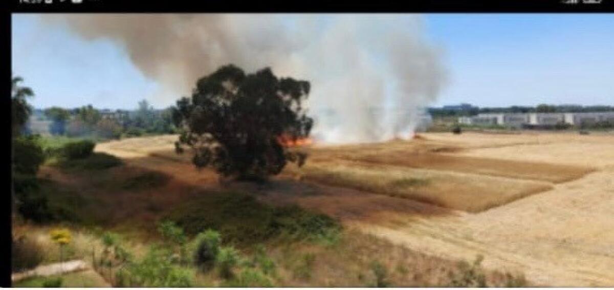 Vasto incendio in un campo tra viale Europa e via Lussemburgo ad Aprilia - 