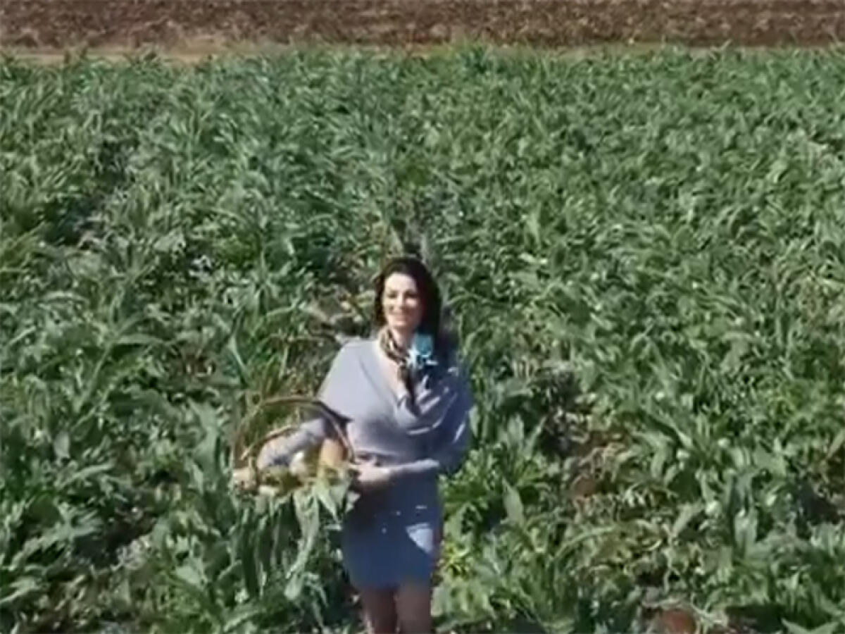 “Alla scoperta dei sapori del Lazio”, la campagna fotografica social della Regione. Manuela Arcuri a Sezze tra i campi di carciofi, Samantha de Grenet a Genzano. - 