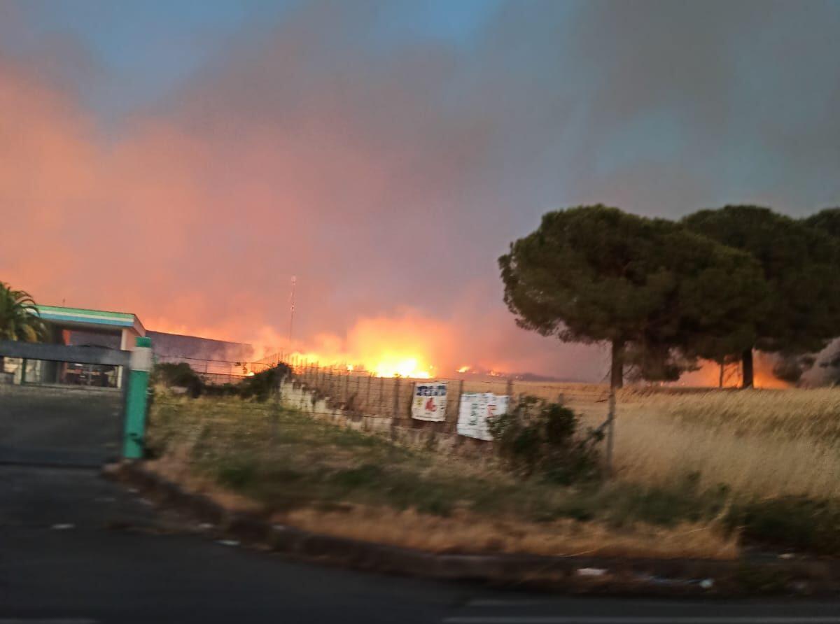 Incendio a Lanuvio, a ridosso della Nettunense. Fiamme domate a mezzanotte - 