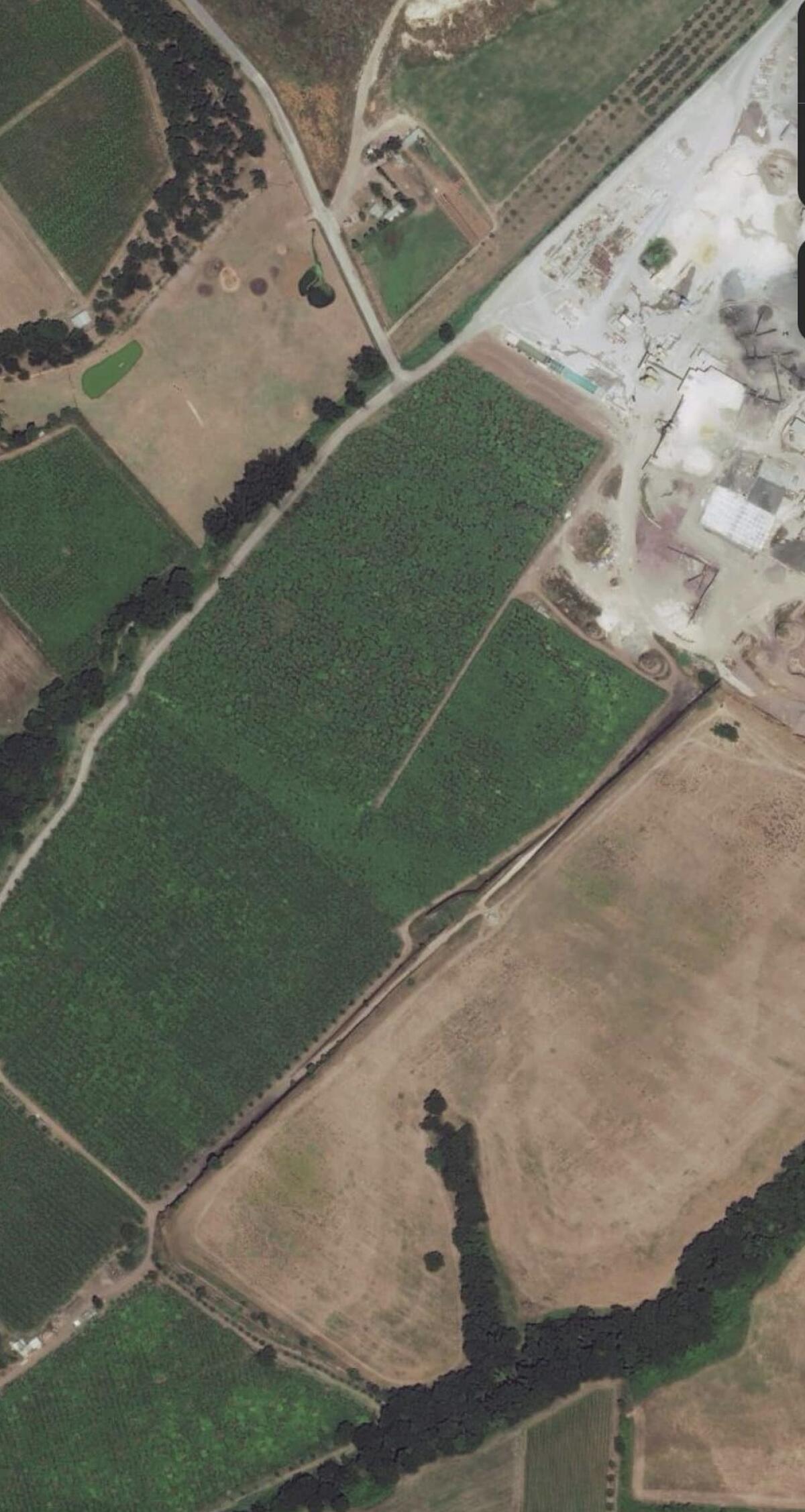 Rifiuti al posto del kiwi biologico, Aprilia non ci sta - 