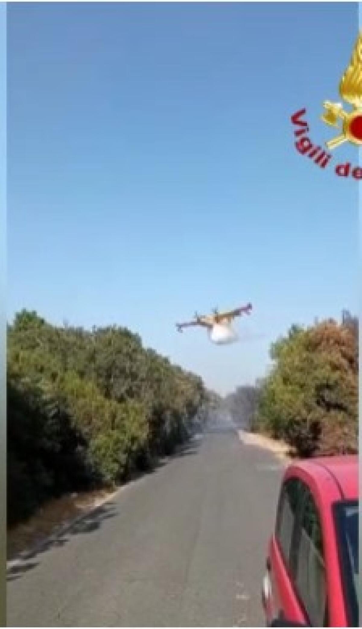 Un'altra giornata di fuoco e fiamme, a Torre Paola in fumo 8 ettari di macchia mediterranea (VIDEO) - 