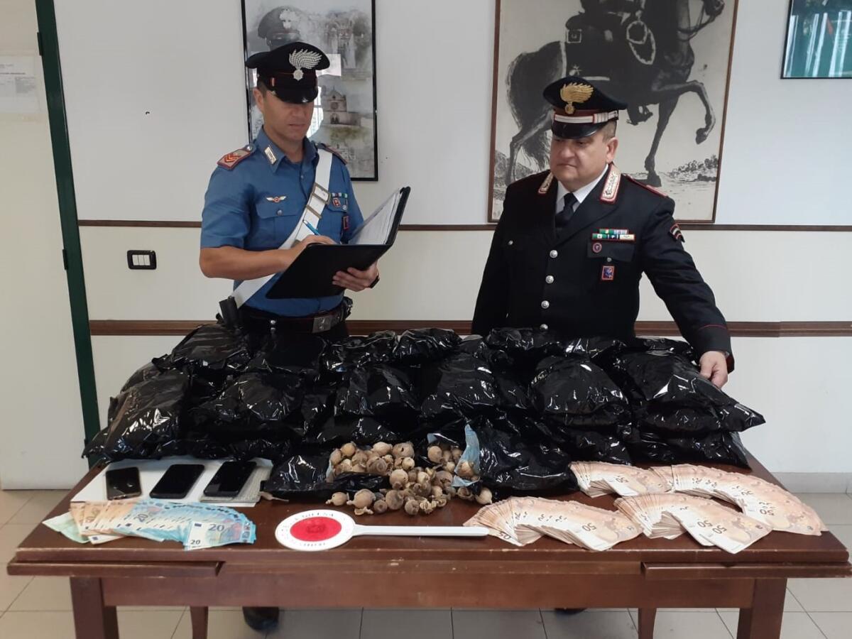 Terracina - I Carabinieri arrestano due stranieri trovati con più di sei chili di bulbi di papavero da oppio e 22mila euro in contanti - 