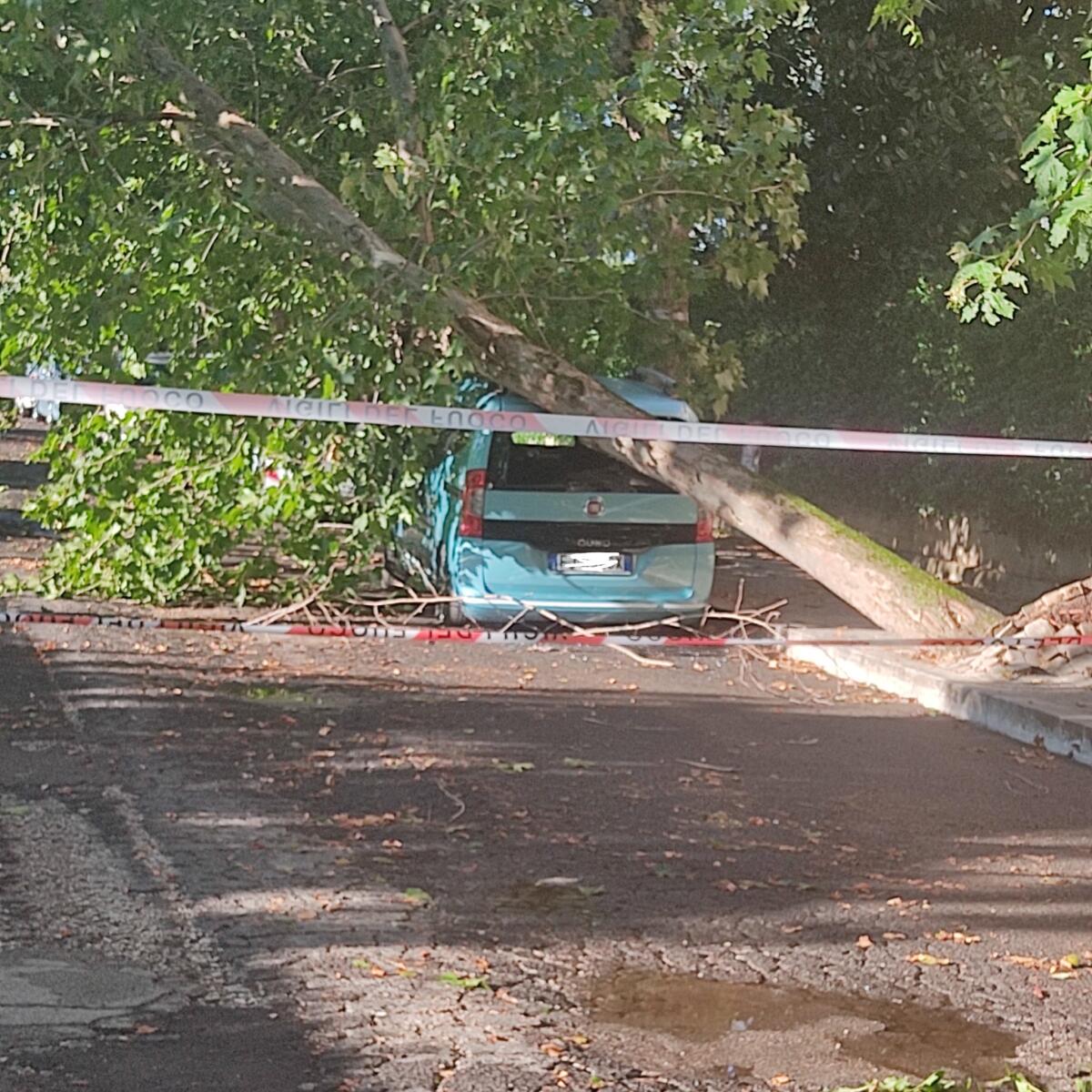 Aprilia - La furia del vento scatenata in Via Inghilterra - 