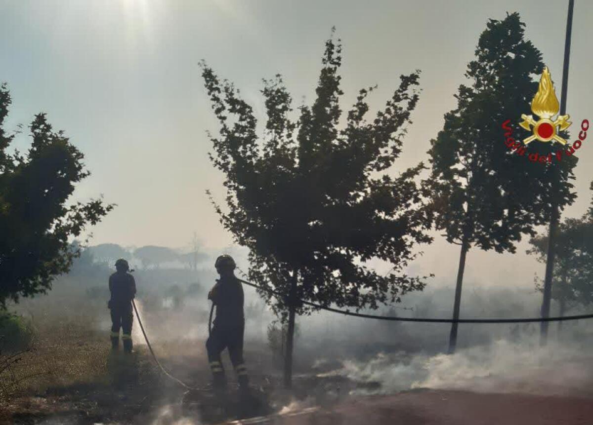 Vasto incendio a Castel Romano: bruciano ettari di vegetazione all’interno di un’area naturale protetta. Dipendenti allontanati dalle vicine  aziende. - 