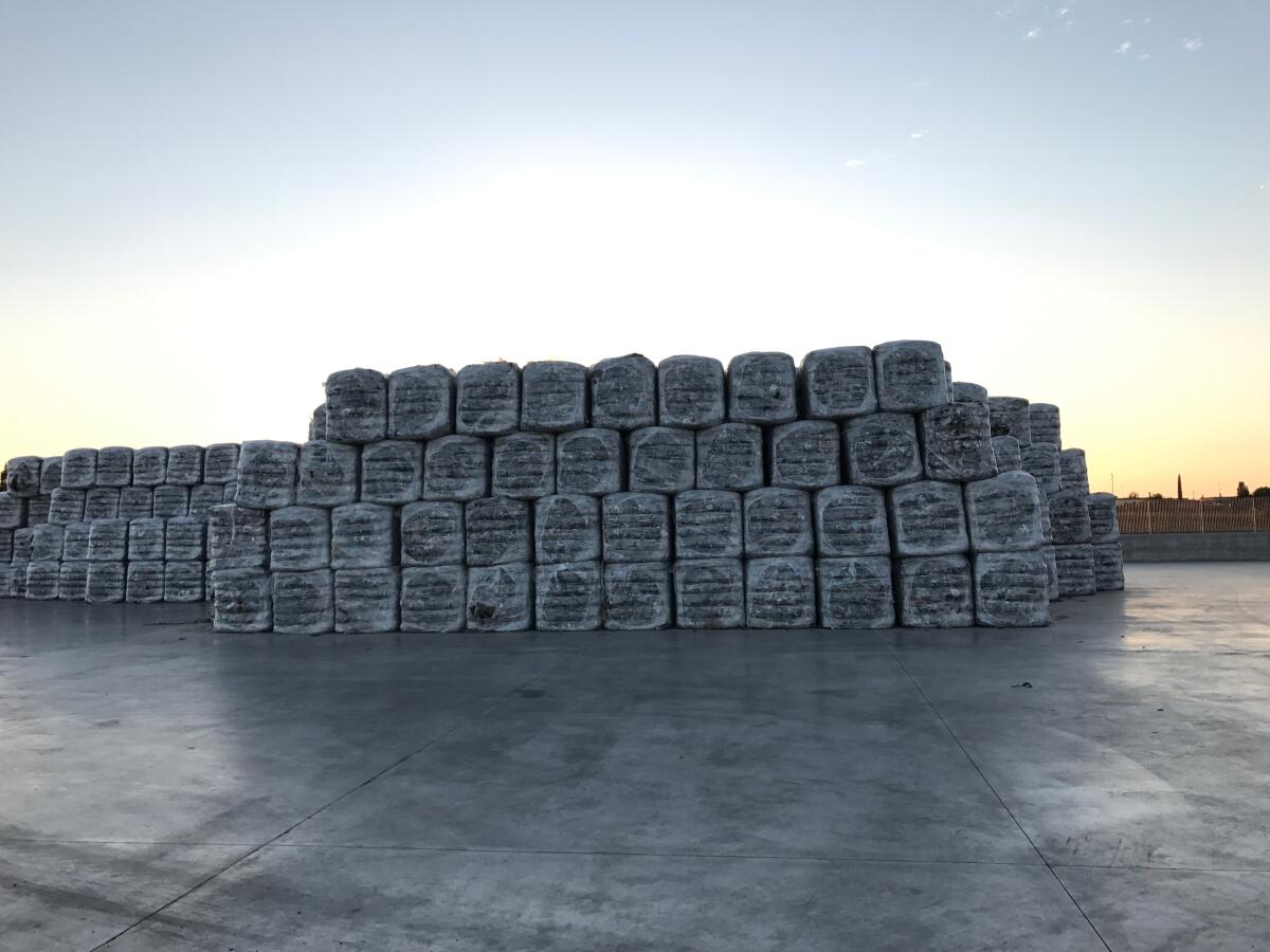 Il Comune di Aprilia sconfitto al TAR, confermata l'autorizzazione all'ampliamento di un deposito per la Rida Ambiente - 