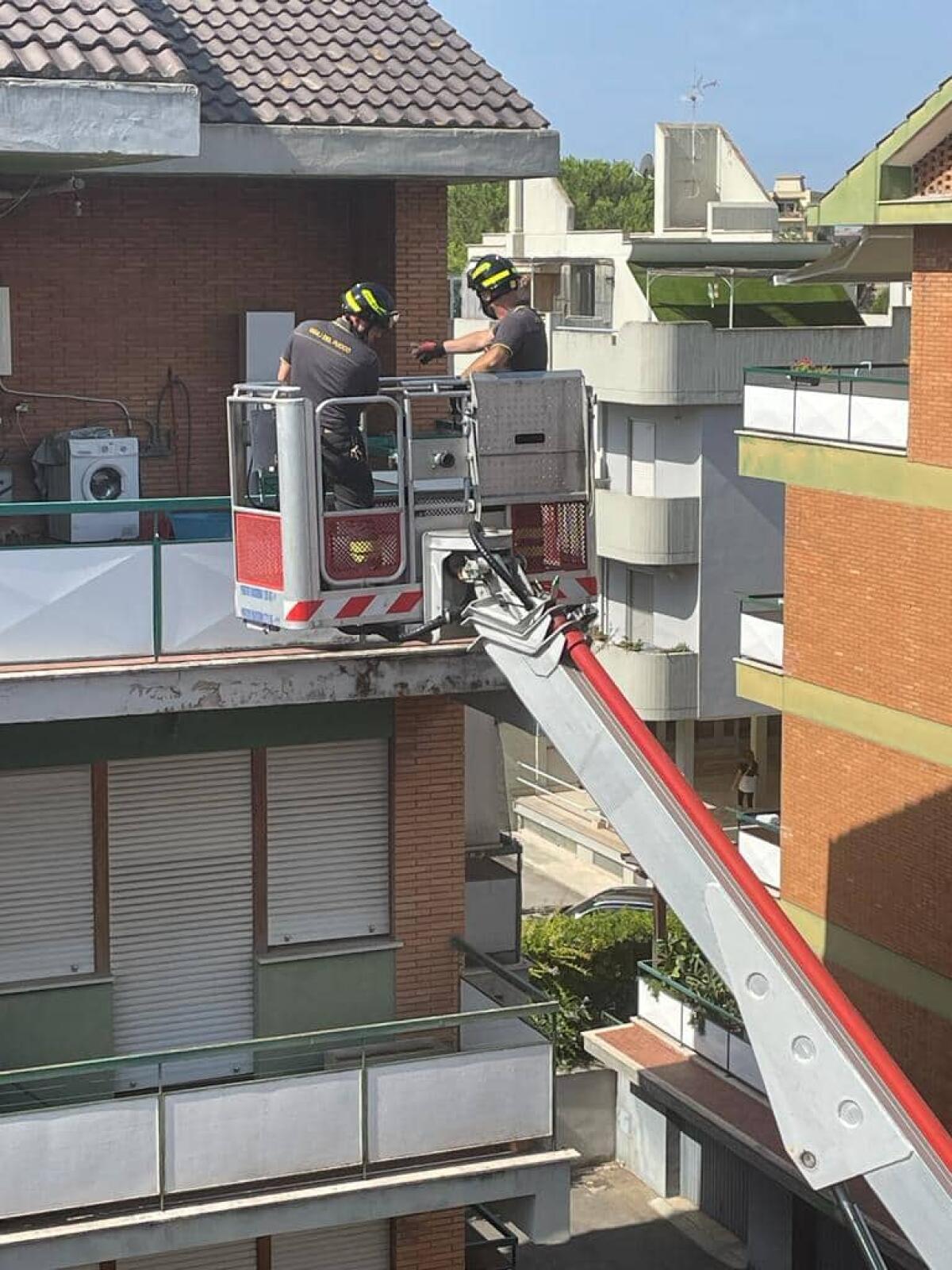 Due cani lasciati fuori in balcone nel giorno di Ferragosto, uno resta incastrato ad una rete: intervento dei vigili del fuoco in via Don Torello, a Latina. FOTO - 