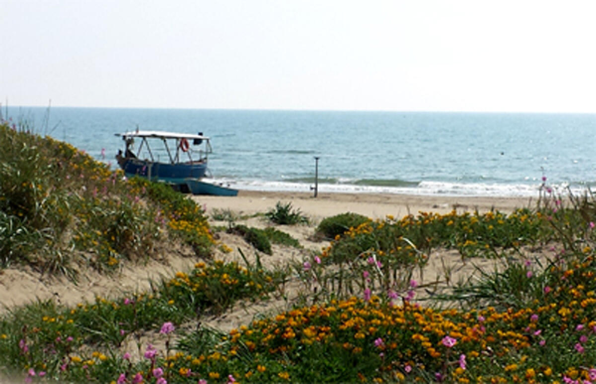 Pensionata 85enne muore a causa di un malore nelle acque di Lido dei Pini, ad Anzio. - 