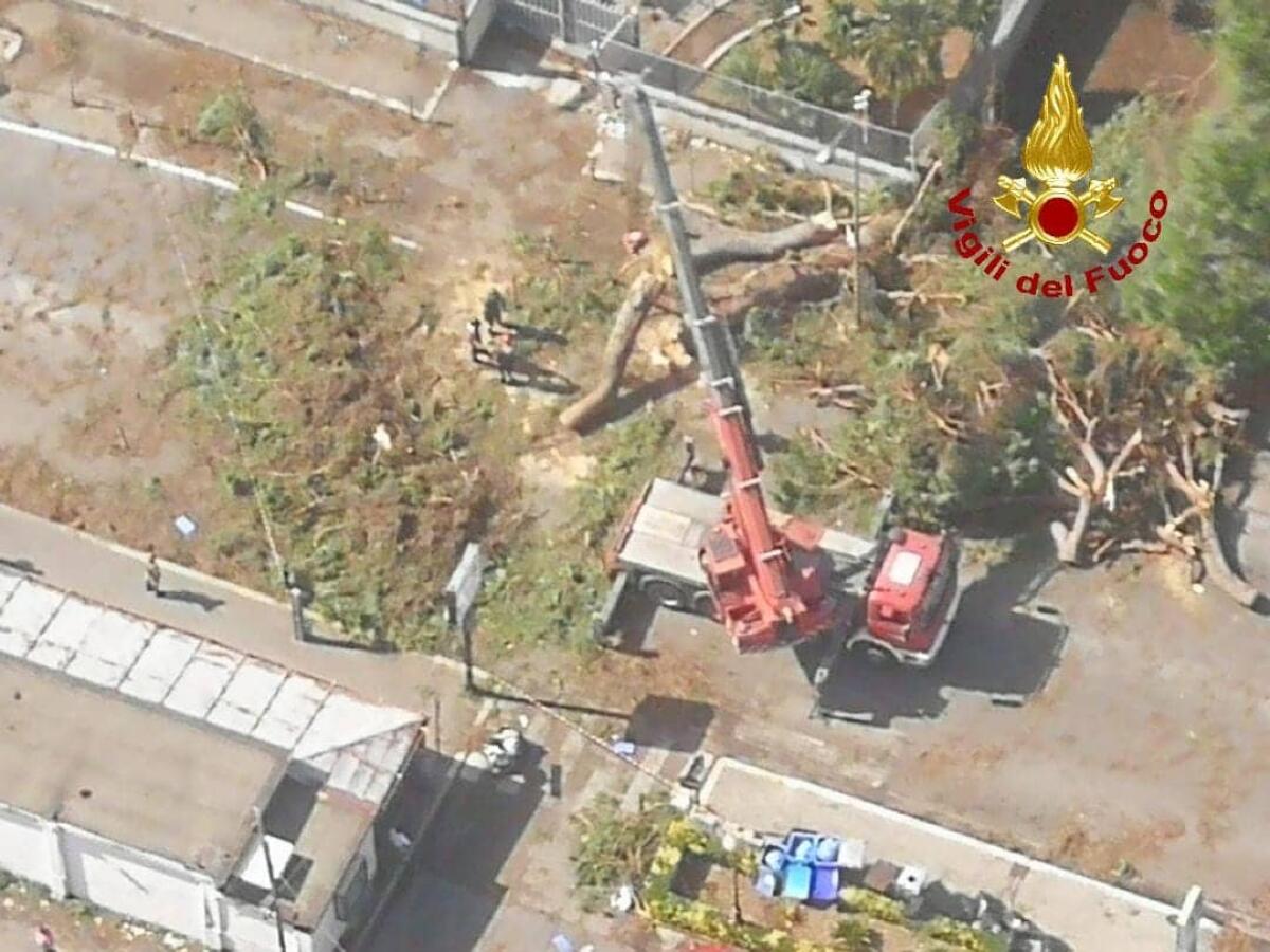 Nubifragio nella notte tra Latina, Sabaudia e Terracina: circa 100 gli interventi dei vigili del fuoco. Altre 200 richieste in attesa. VIDEO - 