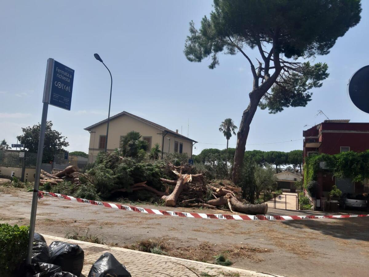 Tromba d’aria tra Latina e Sabaudia, riunione urgente in Prefettura: servono altre squadre di volontari. Riaperta l'Appia, tra le Migliare 53 e 50. - 