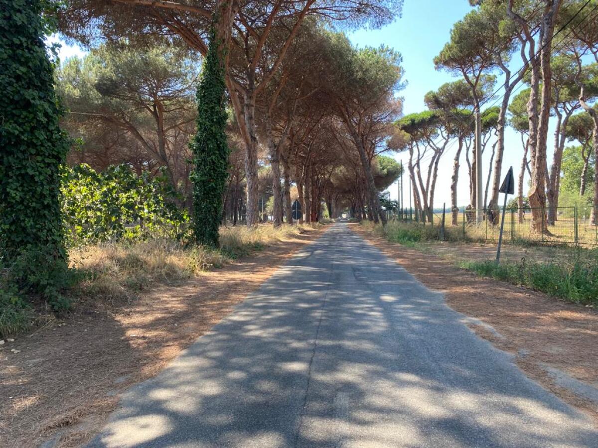 Completate le operazioni di pulizia e bonifica da parte del Comune di Nettuno di via Padiglione-Acciarella. - 