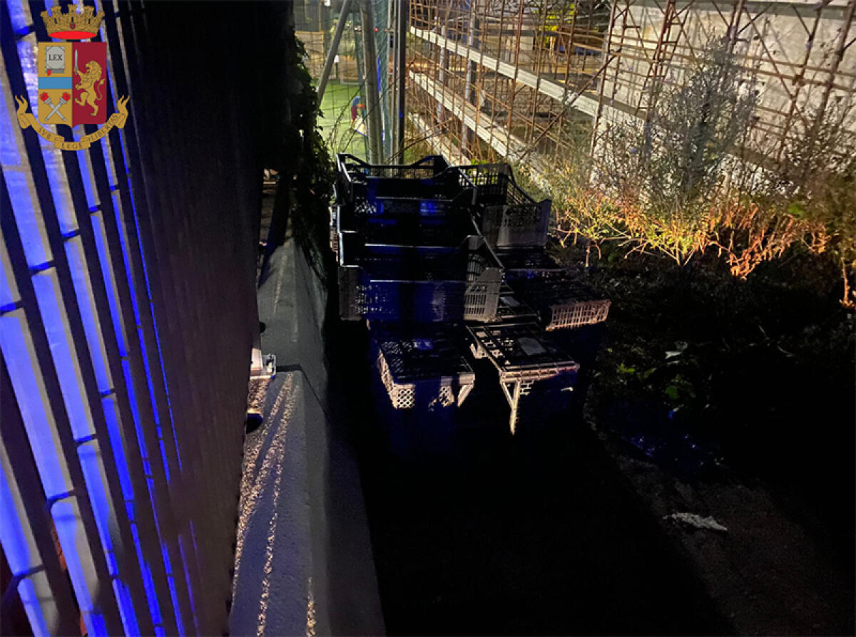 Abbandona in strada 35 cassette di plastica per la frutta: 50enne di Gaeta sorpreso e denunciato dalla Polizia. - 