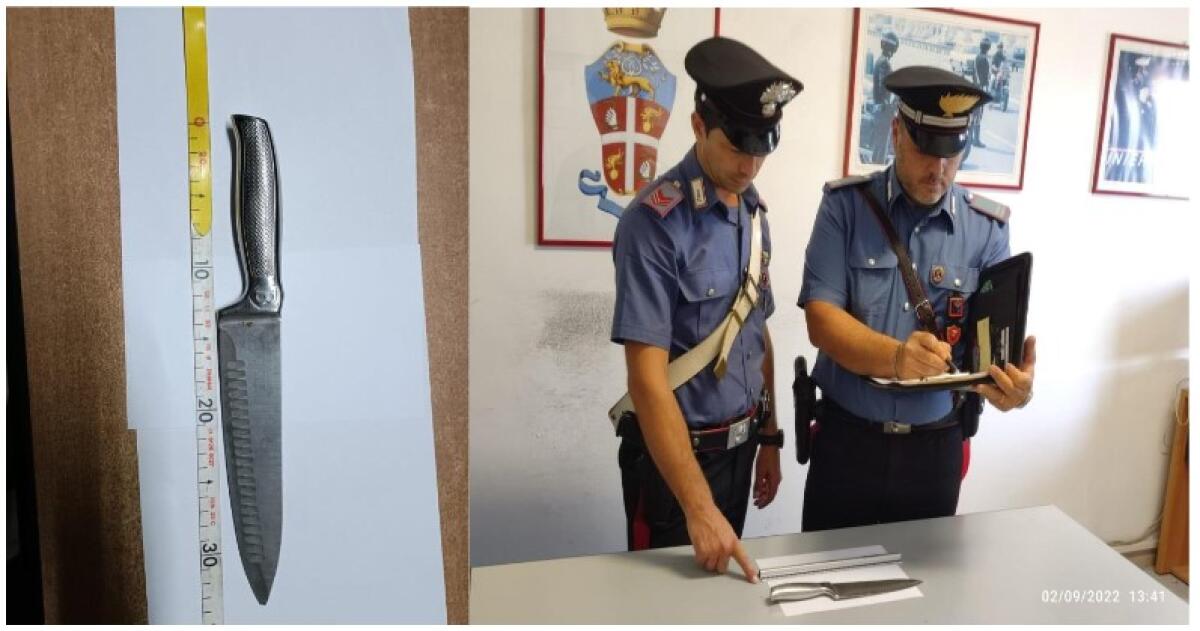 Sud pontino - Gaeta: ruba il cellulare a una cliente dell'albergo nel quale lavora. Formia: minaccia il gestore di un bar - 