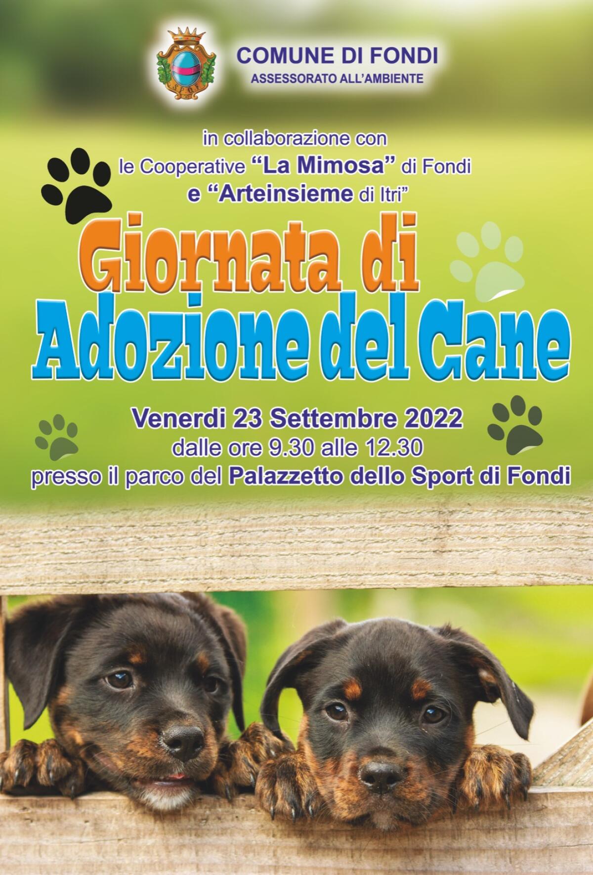 Il 23 settembre è la Giornata Mondiale del Cane adottato: al Palazzetto di Fondi si potranno incontrare gli ospiti dei canili - 