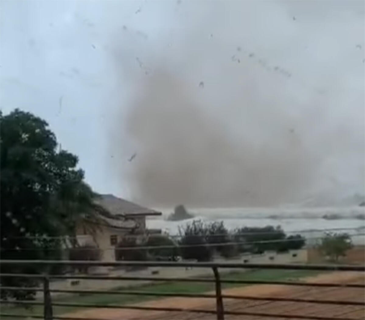 Maltempo, una violenta tromba d’aria si abbatte tra Sabaudia e Terracina. Pini crollati sulla Pontina e strade allagate. - 