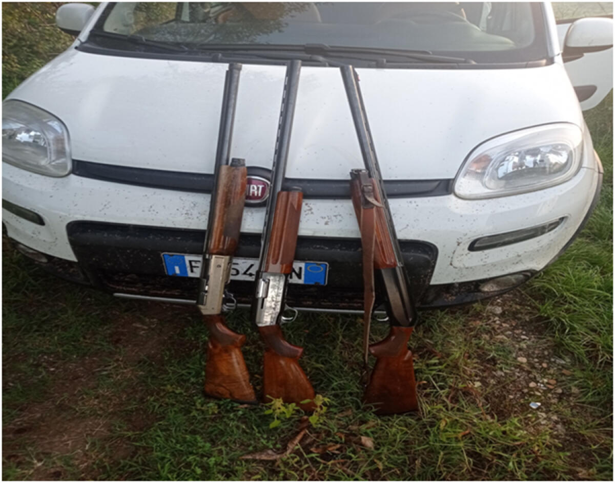 Bracconaggio, controlli tra Aprilia, Latina, Pontinia e Monte San Biagio: sequestrate armi e salvati 44 cardellini - 
