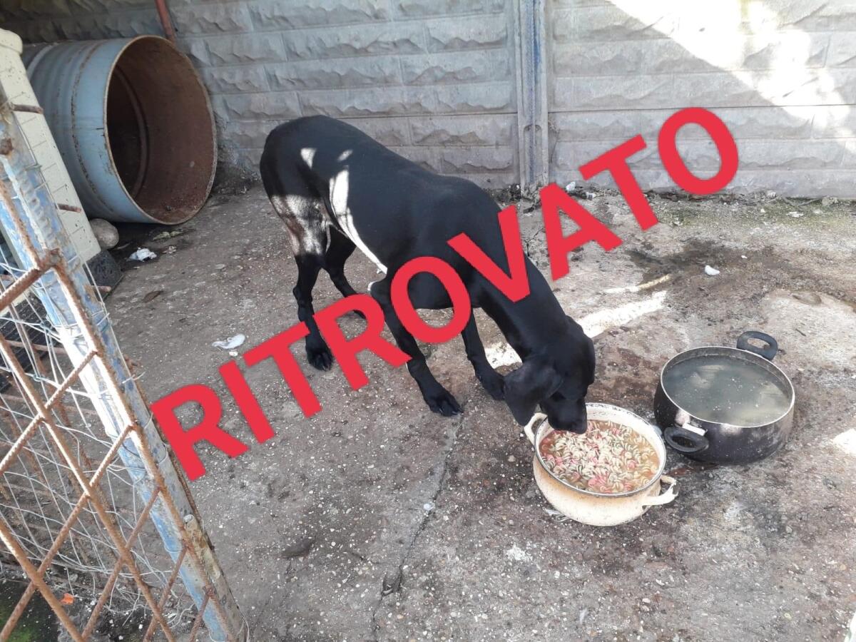 Ladi è stata ritrovata! - 