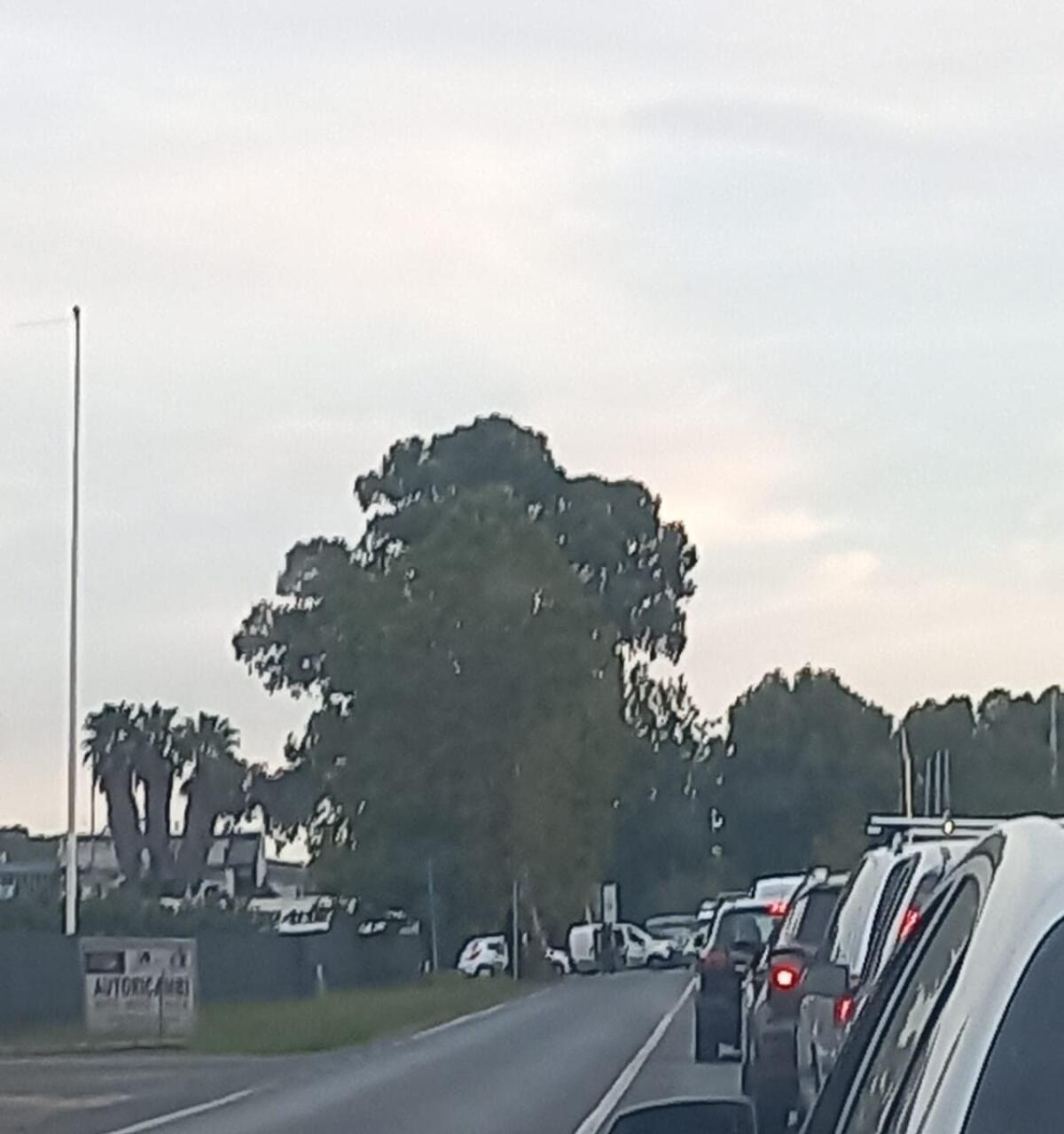 Traffico fermo sulla Nettunense per un incidente all'altezza dello stabilimento Silp - 