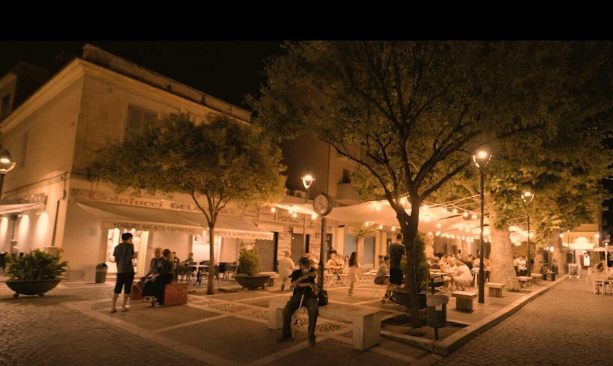 Nettuno - Aiuole e fioriere affidate ai percettori del reddito di cittadinanza - 