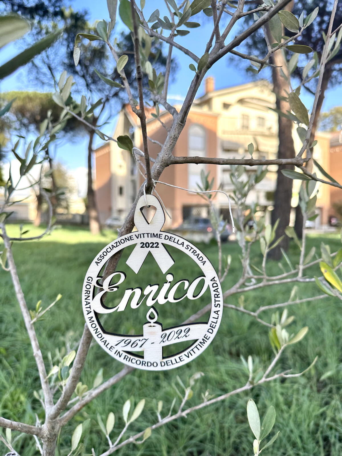 Domenica 20 novembre, un ulivo in memoria delle Vittime della strada e di Enrico Toto - 