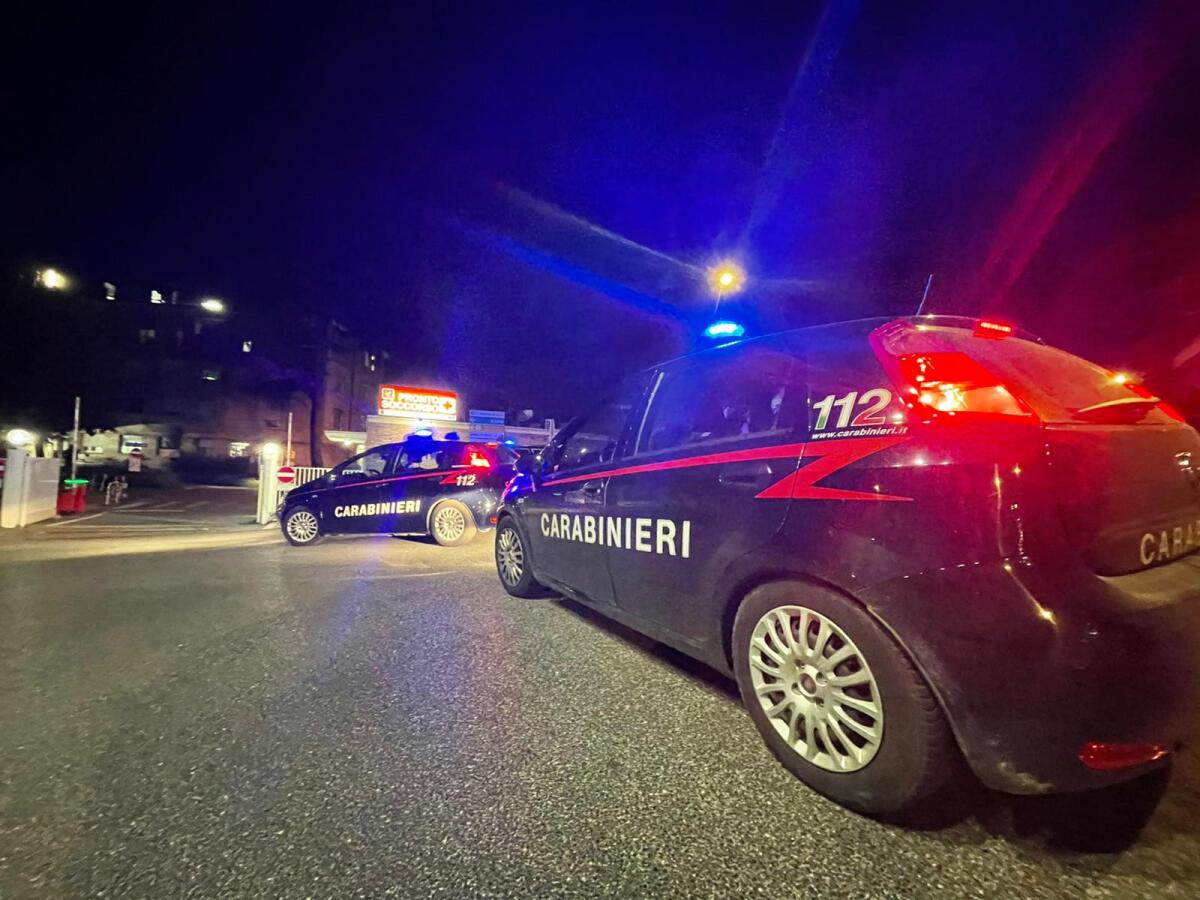 Controlli dei carabinieri a sud della Capitale: 3 arresti e 17 denunce - 