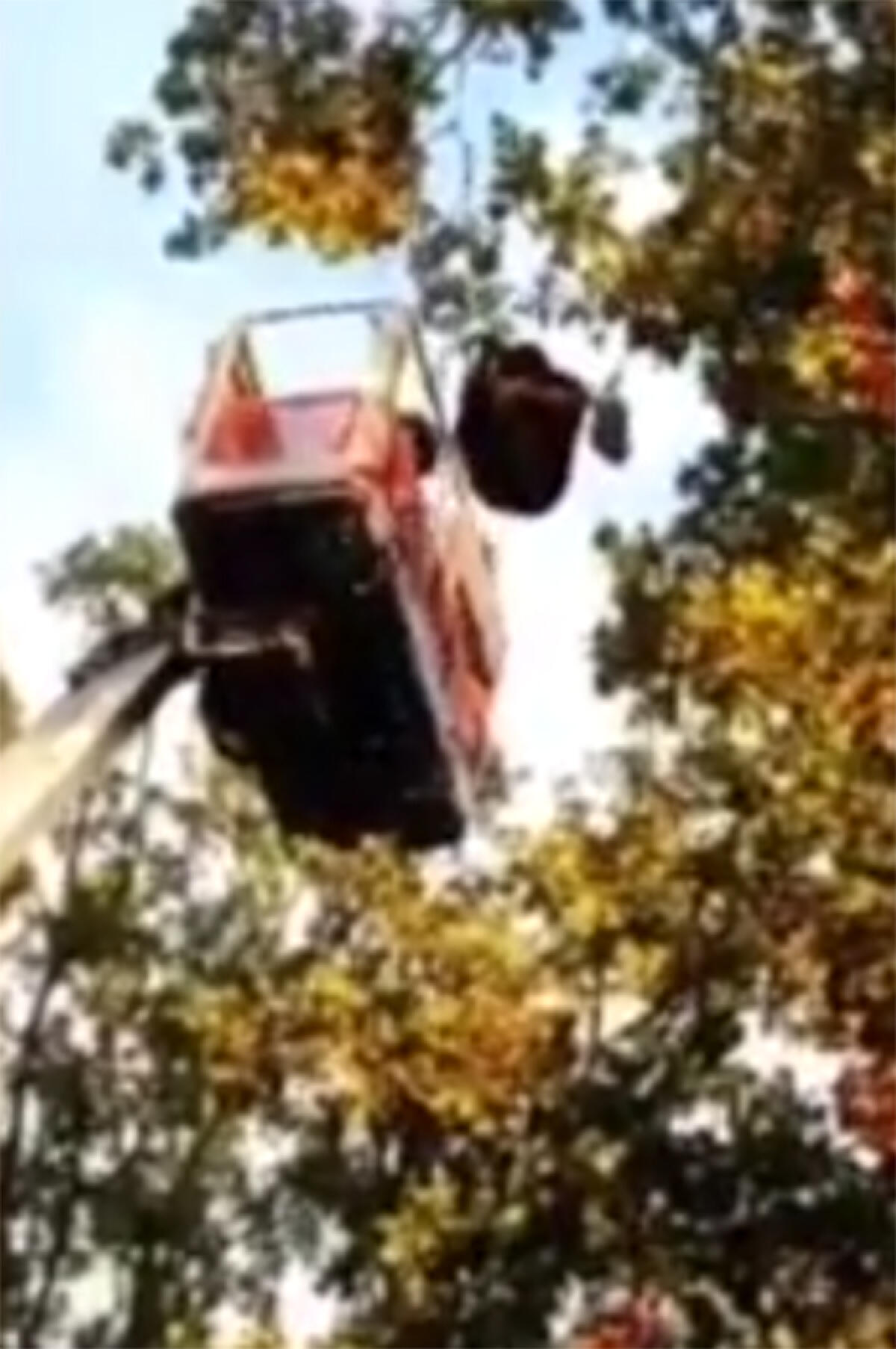 Si impiglia col parapendio sulla chioma di una grossa quercia, a Norma: pilota soccorso dai Vigili del Fuoco. - 