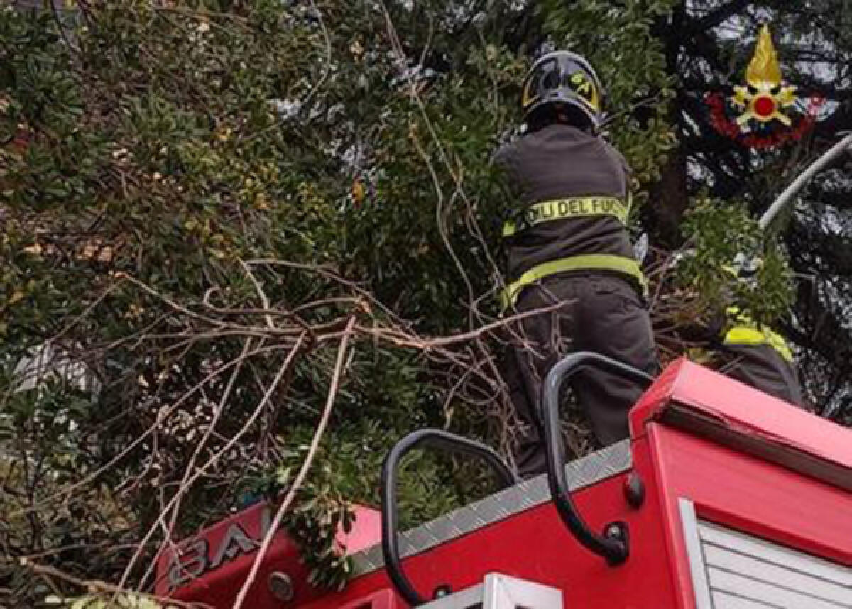 Maltempo in provincia di Roma: oltre 250 gli interventi dei Vigili del Fuoco. Ecco le zone più colpite. - 