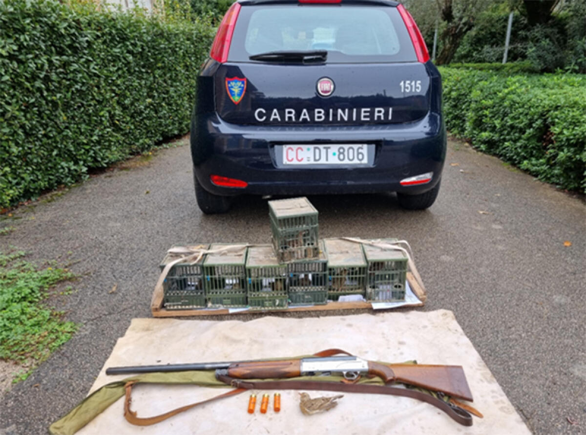 Contrasto al fenomeno del bracconaggio: 4 persone denunciate dai Carabinieri della Forestale al confine tra Pontinia e Sonnino. - 