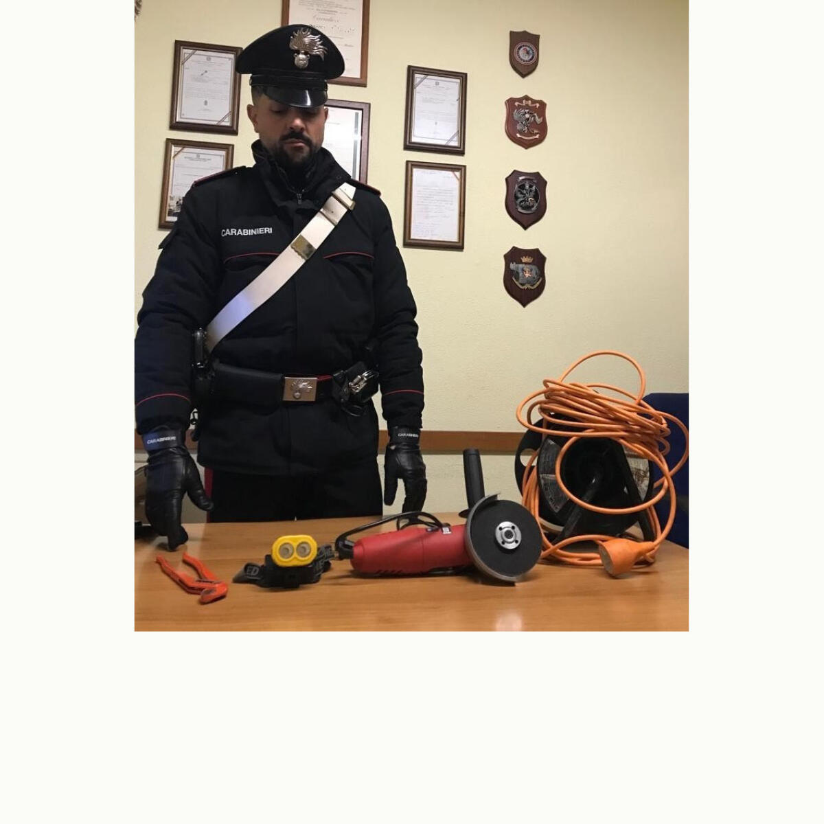 Frullino elettrico e pappagallo per tagliare le inferriate: arrestato un 55enne - 