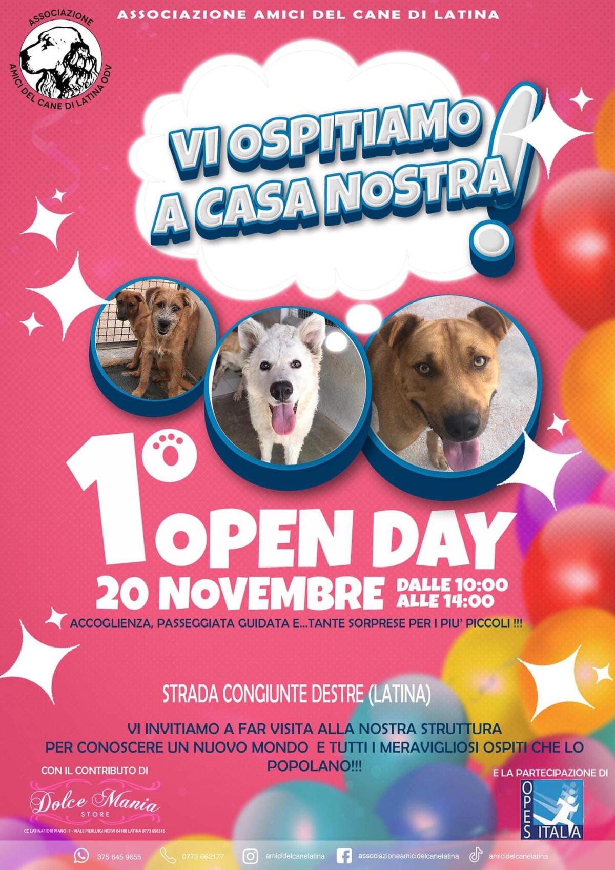 Latina - Open day al canile della Chiesuola. Appuntamento domenica 20 novembre - 