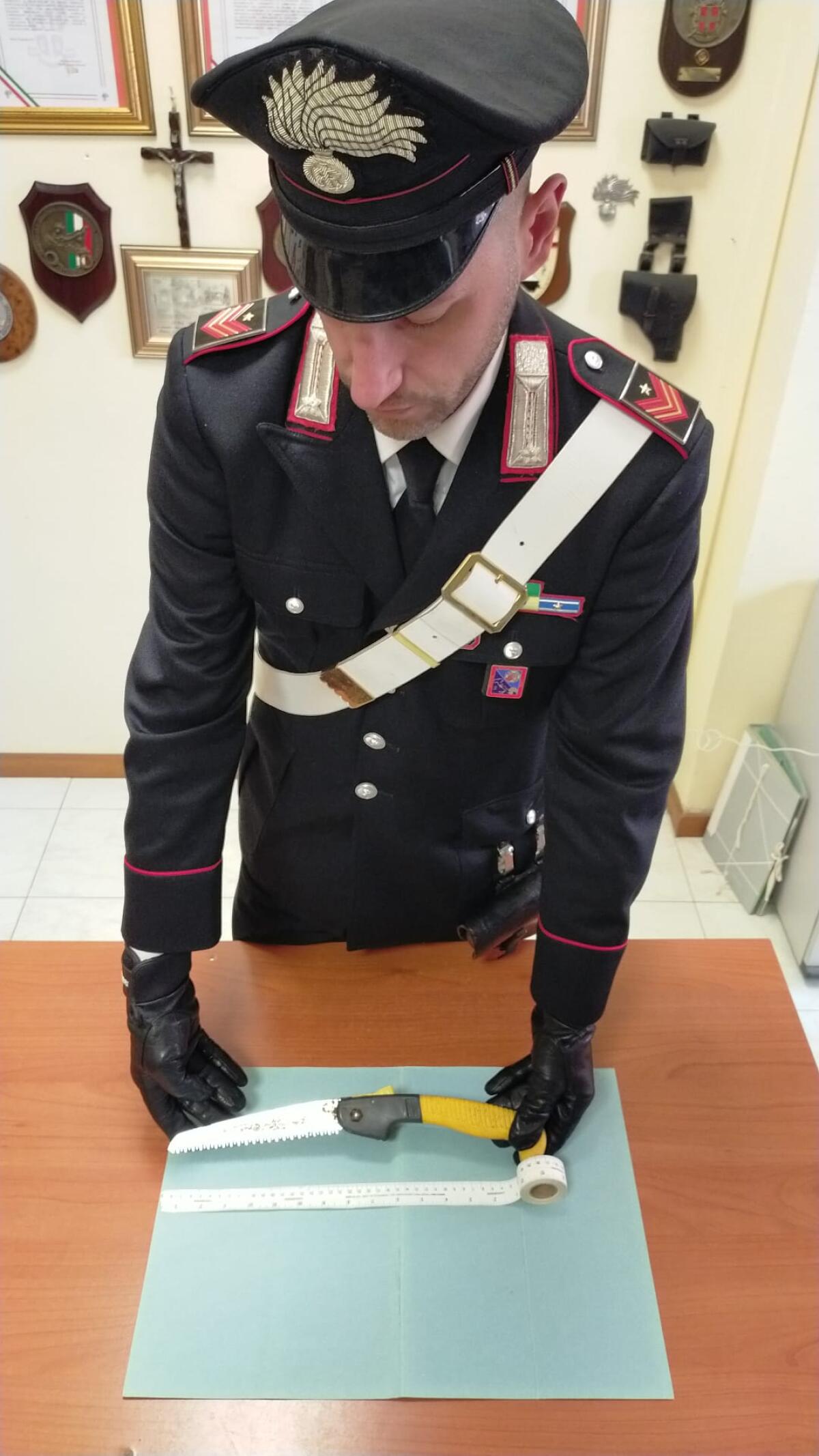 Ardea - Dà in escandescenze in un bar, minaccia con un segaccio e aggredisce i carabinieri. Arrestato un 22enne - 