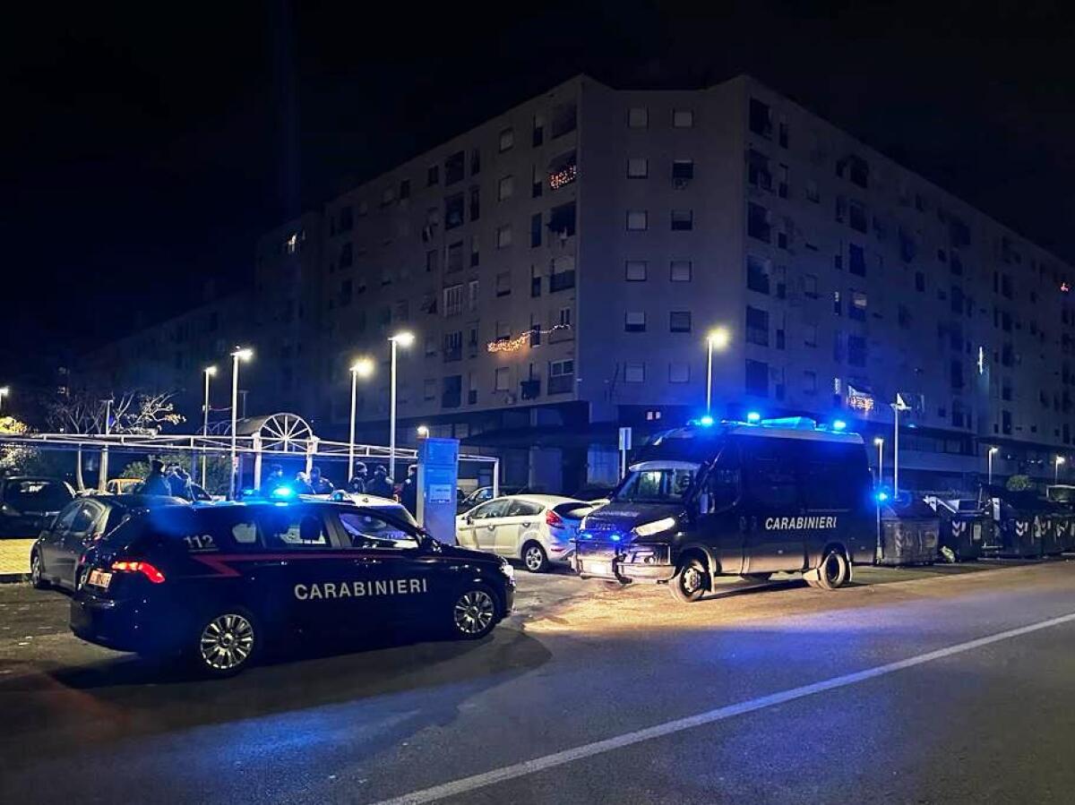 60 uomini, un elicottero e due unità cinofile: imponente operazione all'alba dei Carabinieri di Frascati - 