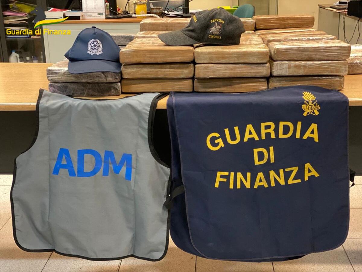 Sequestrata dalla Finanza di Roma una spedizione di 72 chili di cocaina nascosta tra le banane. - 