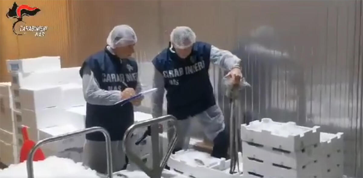 Festività natalizie, i Carabinieri del Nas di Latina eseguono 37 controlli: in un ristorante sequestrato un quintale di prodotti ittici. - 