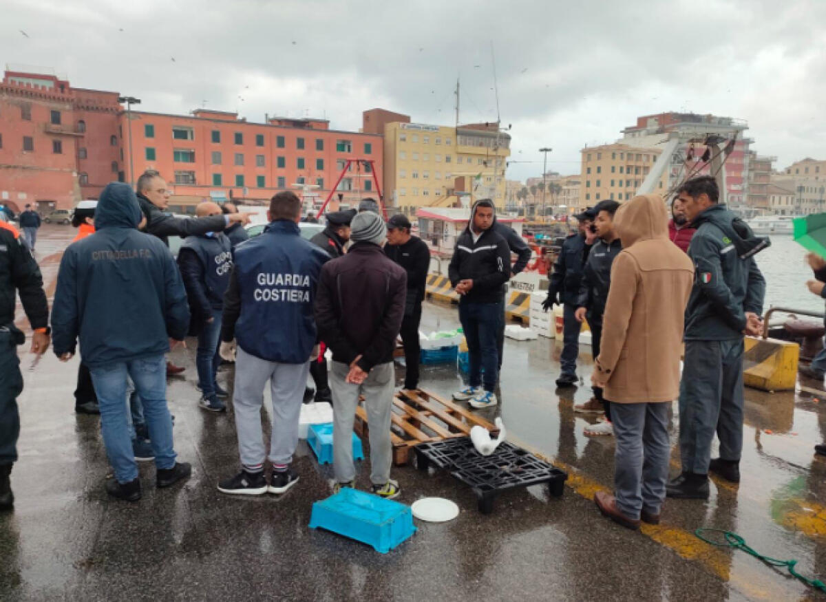 400 chili di pesce senza tracciabilità sequestrati ad Anzio, multe per 28 mila euro - 