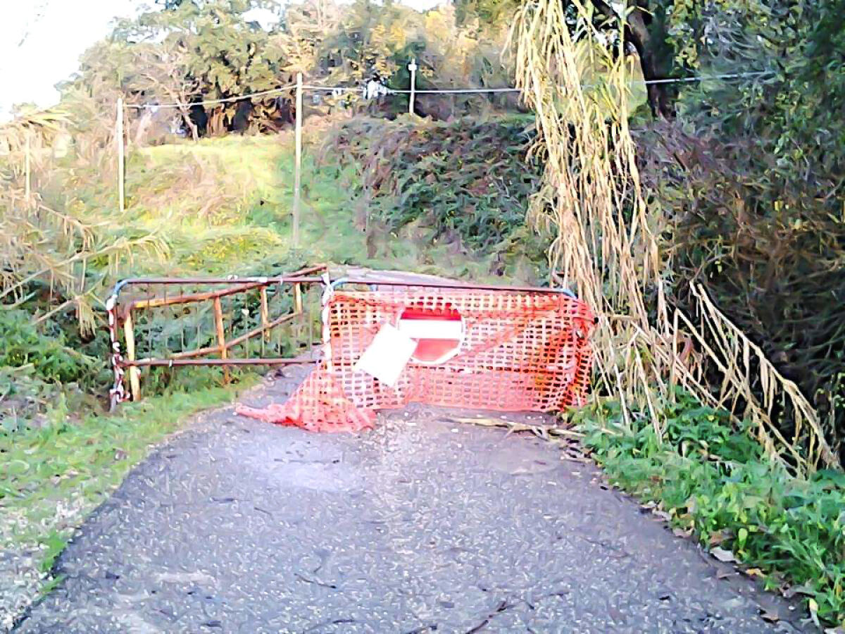 Ponte di via del Bosco a Cisterna: "i lavori possono finalmente iniziare" - 