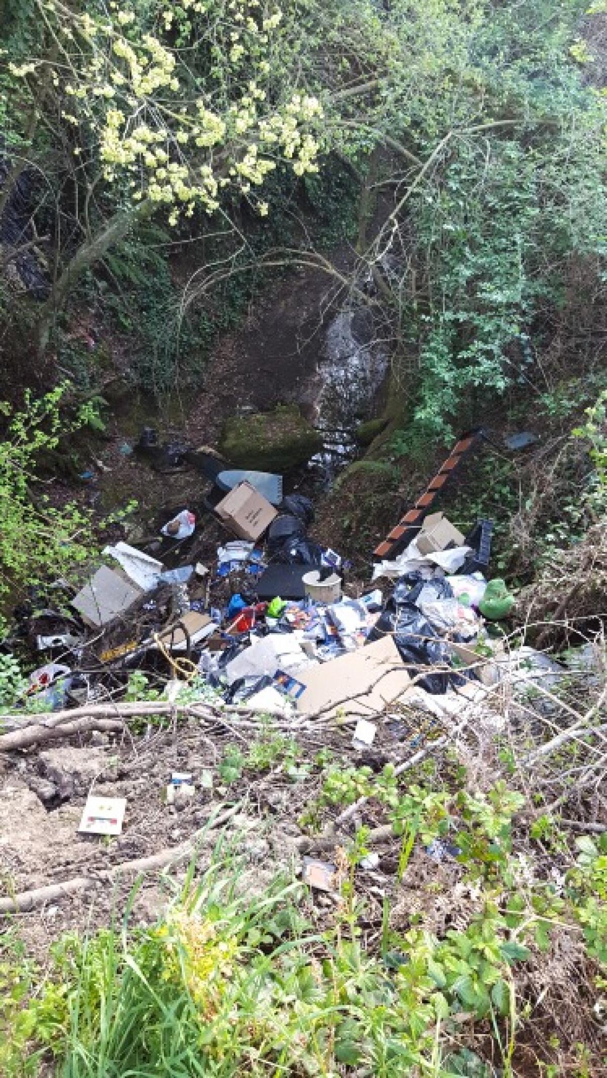 Sversamento illegale di rifiuti ingombranti, denunciato un 60enne - 