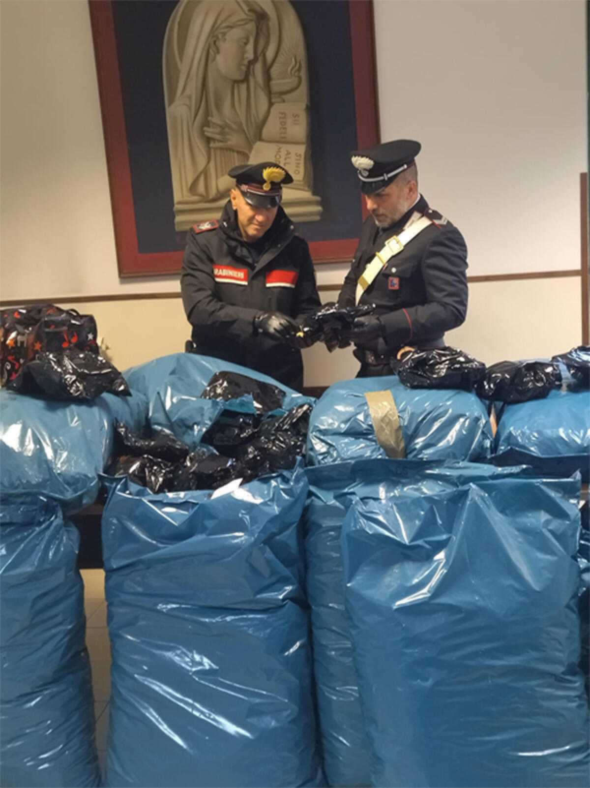 TERRACINA - In taxi con 53 chili di papavero da oppio. Il passeggero fugge, il tassista finisce in manette. - 