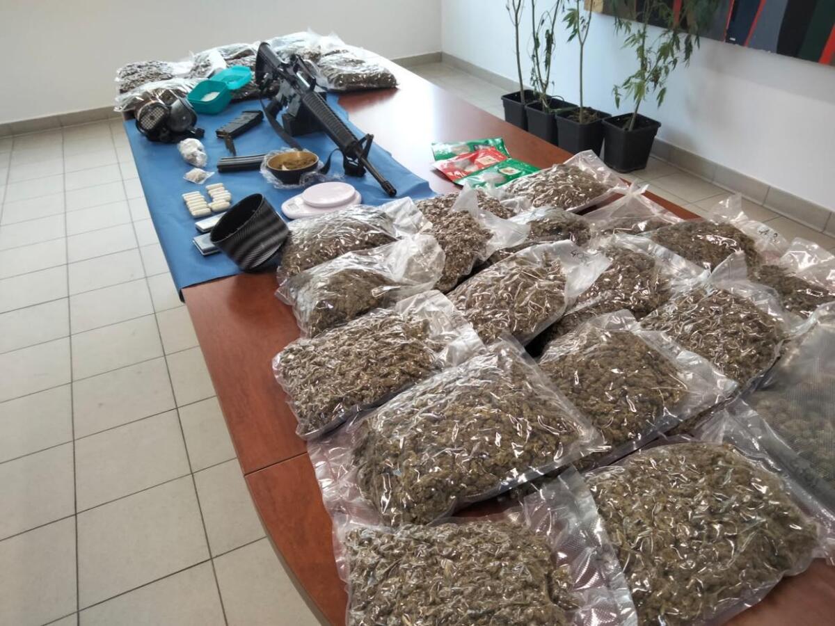 Droga e armi ad Aprilia: sotto sequestro 14 chili di marijuana e una serra sotterranea. Un arresto FOTO e VIDEO - 