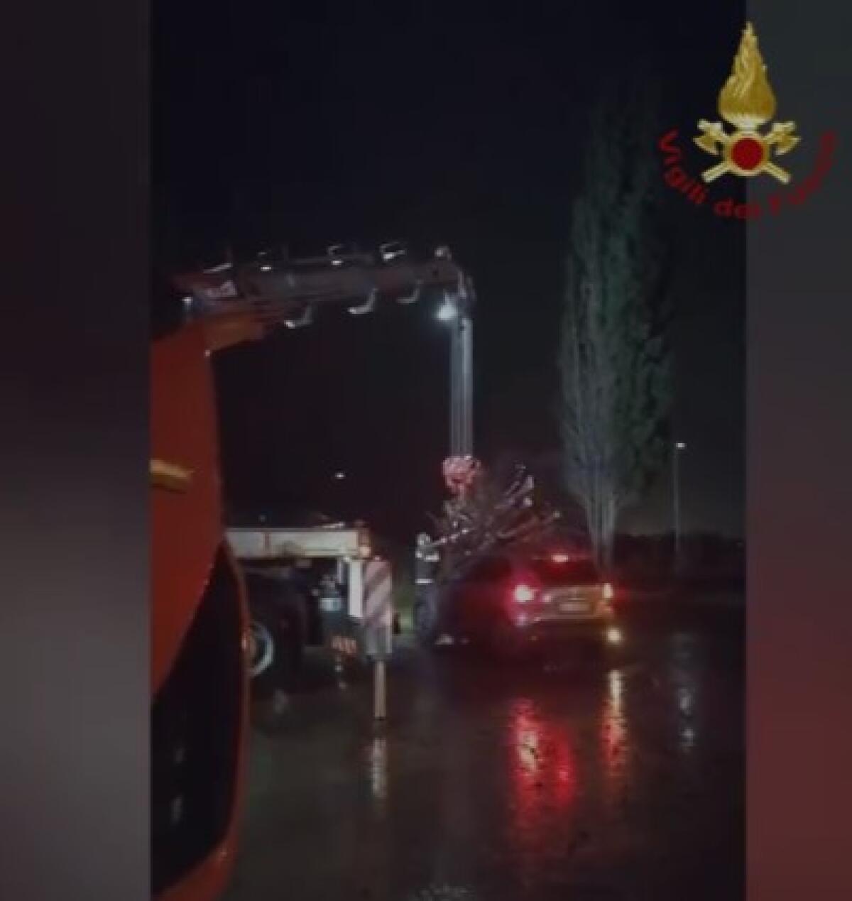 (VIDEO) Un cipresso cade su un'auto parcheggiata, fortunatamente nessuna vittima - 