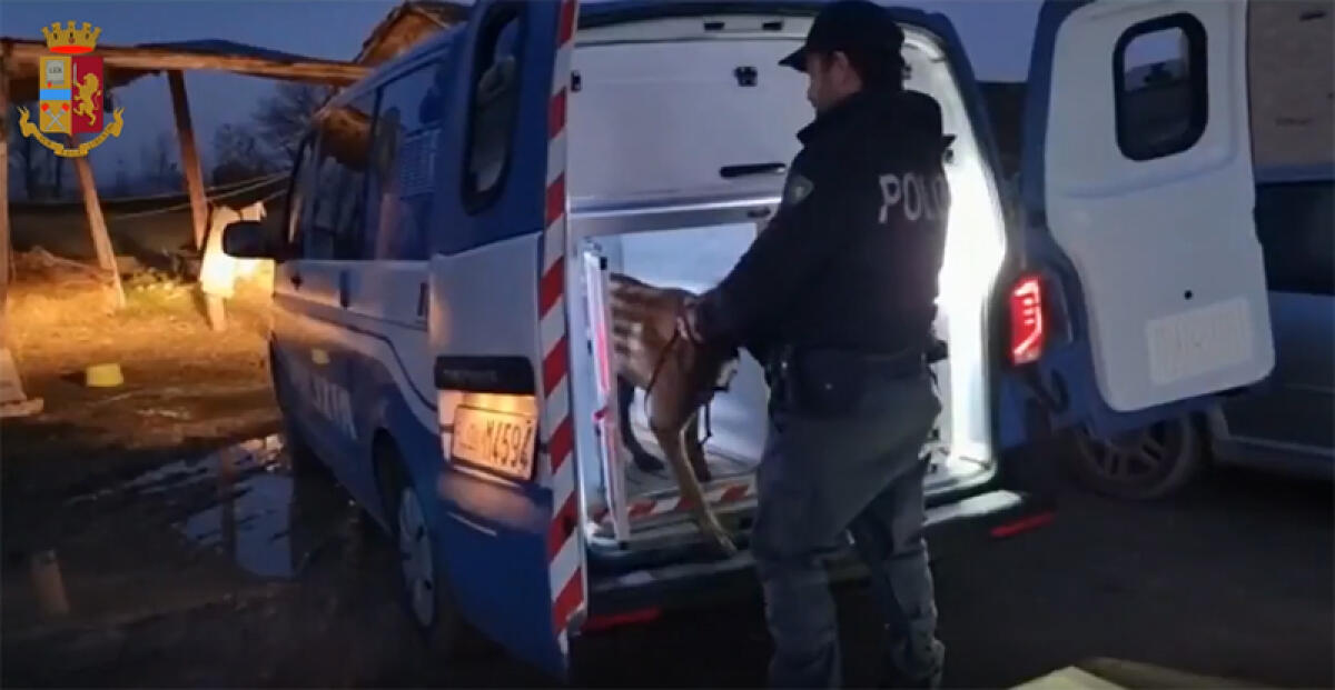 Immigrazione clandestina: arresti e perquisizioni in tutta Italia. indagini partite da Anis Amri, il terrorista che soggiornò ad Aprilia. - 