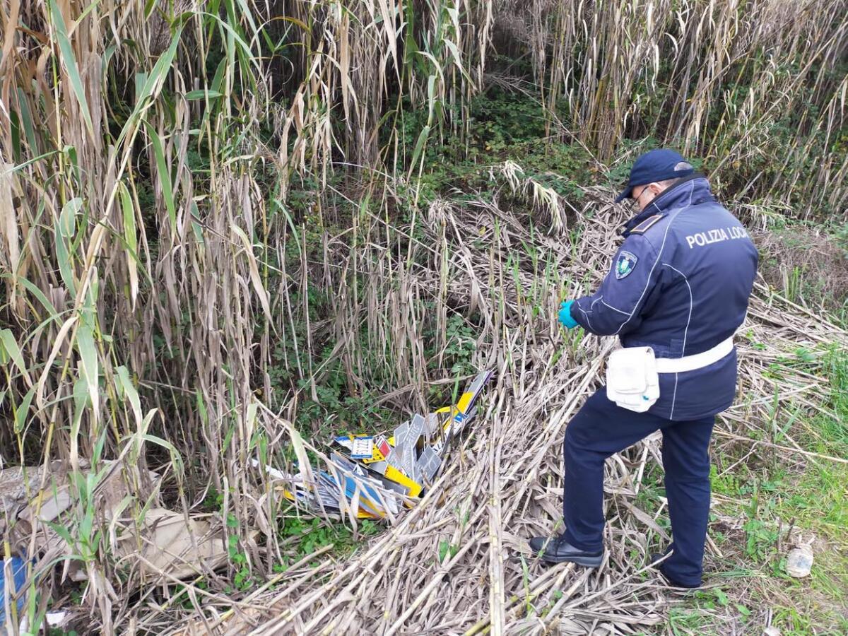 79 targhe di veicoli nascoste tra i rovi sulla Nettunense, indaga la Polizia Locale di Lanuvio - 