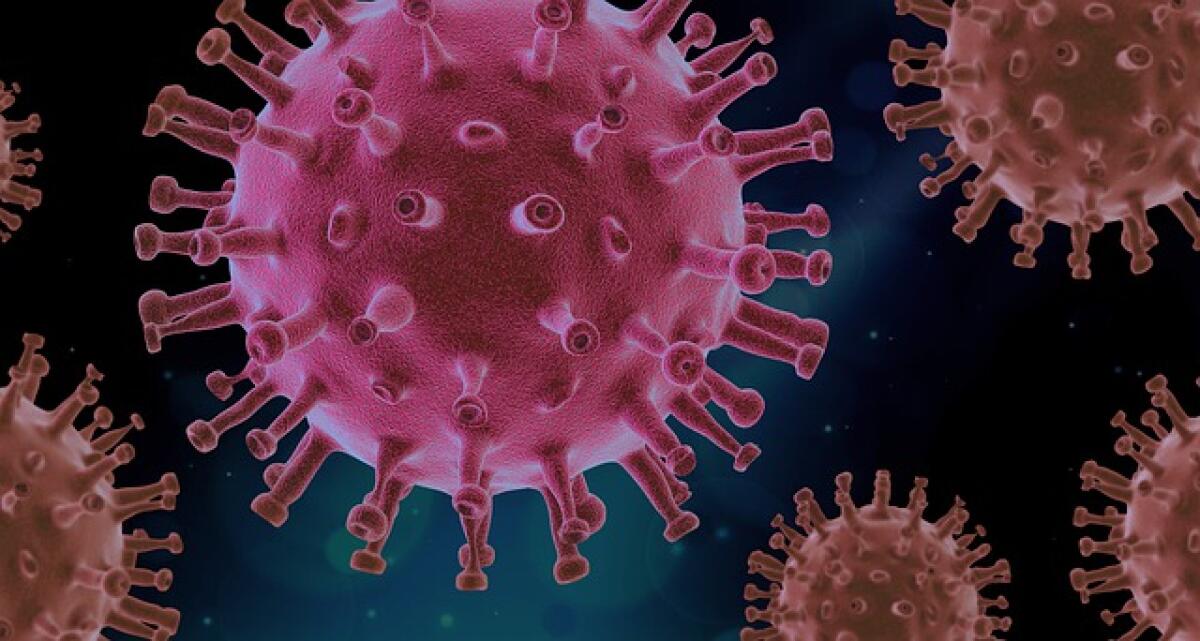 Coronavirus, il bollettino dell'8 gennaio nel Lazio. Altri 1.648 casi e 3 decessi (uno a Cori e l'altro a Terracina) - 