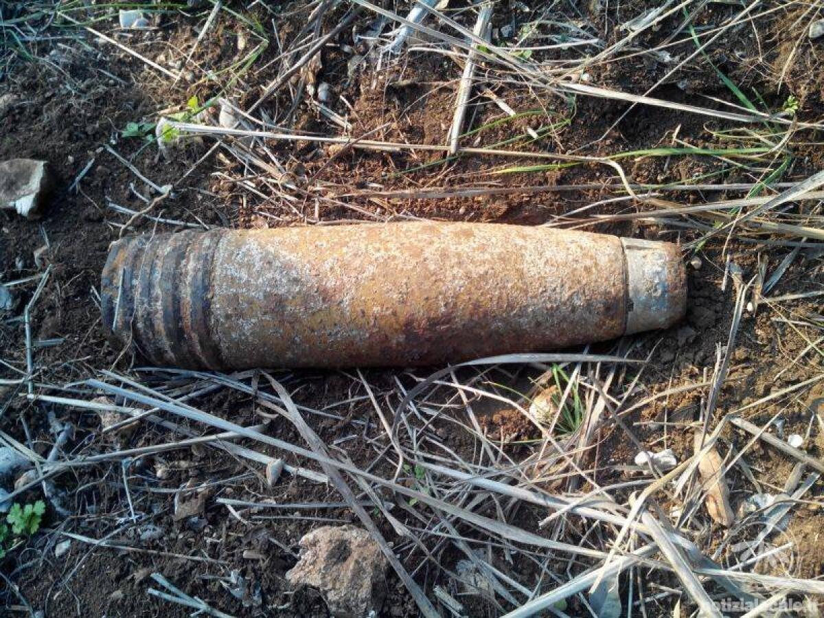 Ordigno bellico rinvenuto all’interno di un bosco, ad Albano. - 