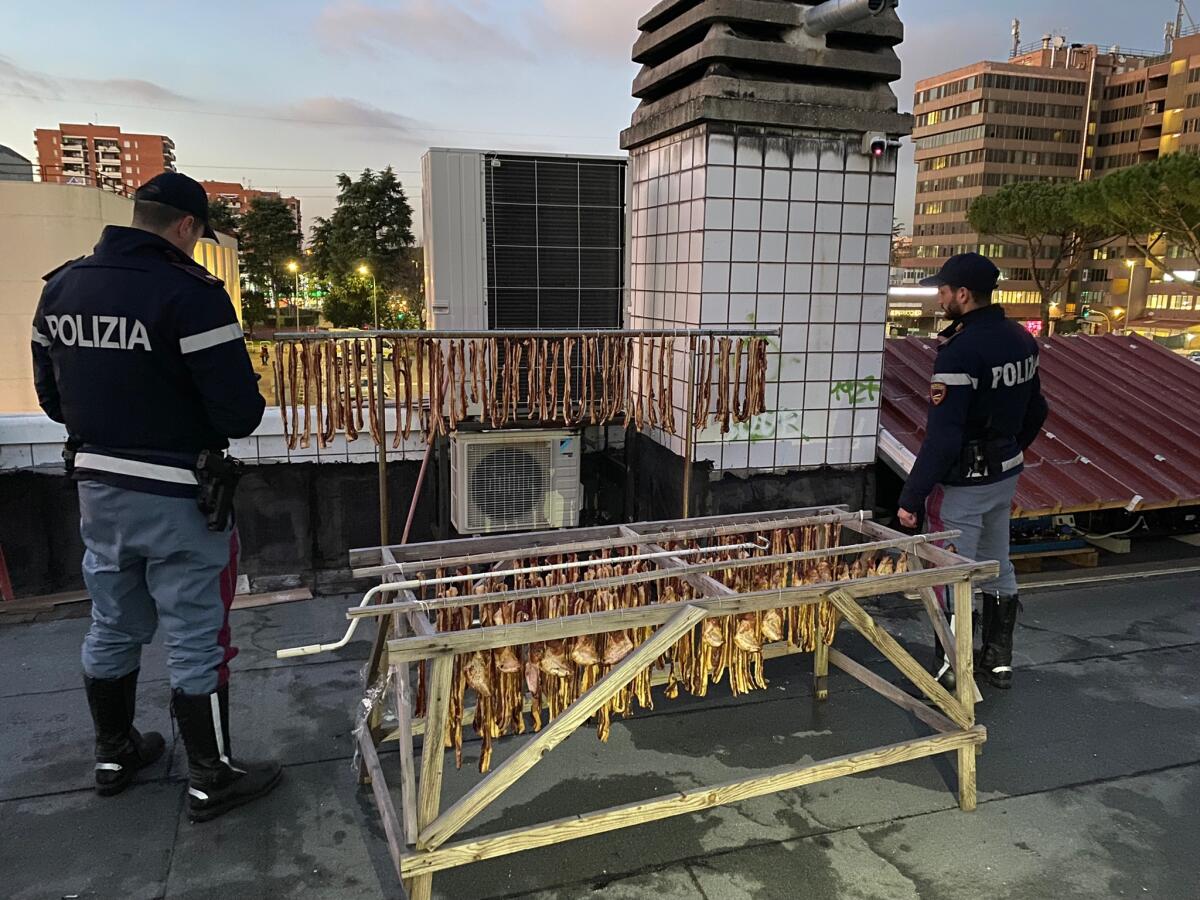 Servizi ad “Alto Impatto” della Questura di Roma: 4 arresti. - 