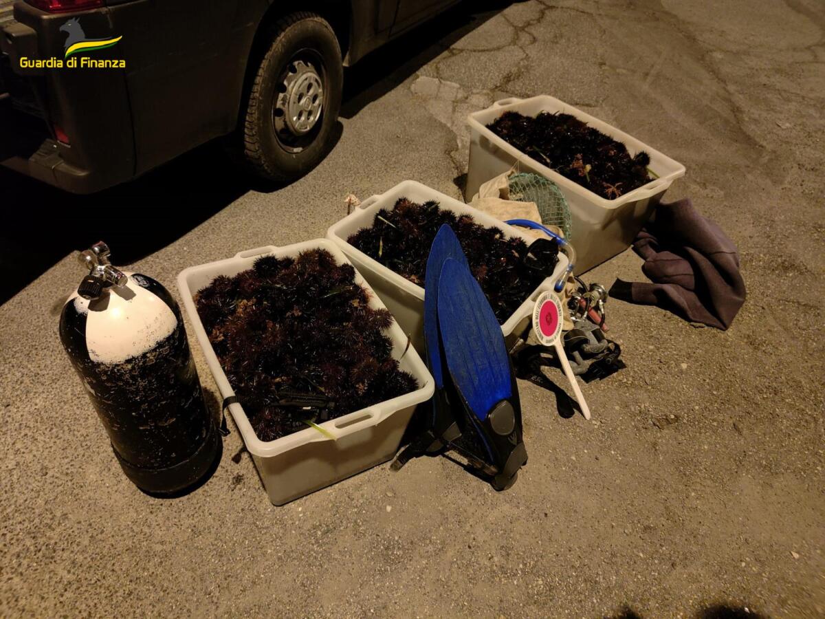 Pescatori di frodo fermati dalla Guardia di Finanza sul litorale romano con oltre 13mila ricci di mare. - 