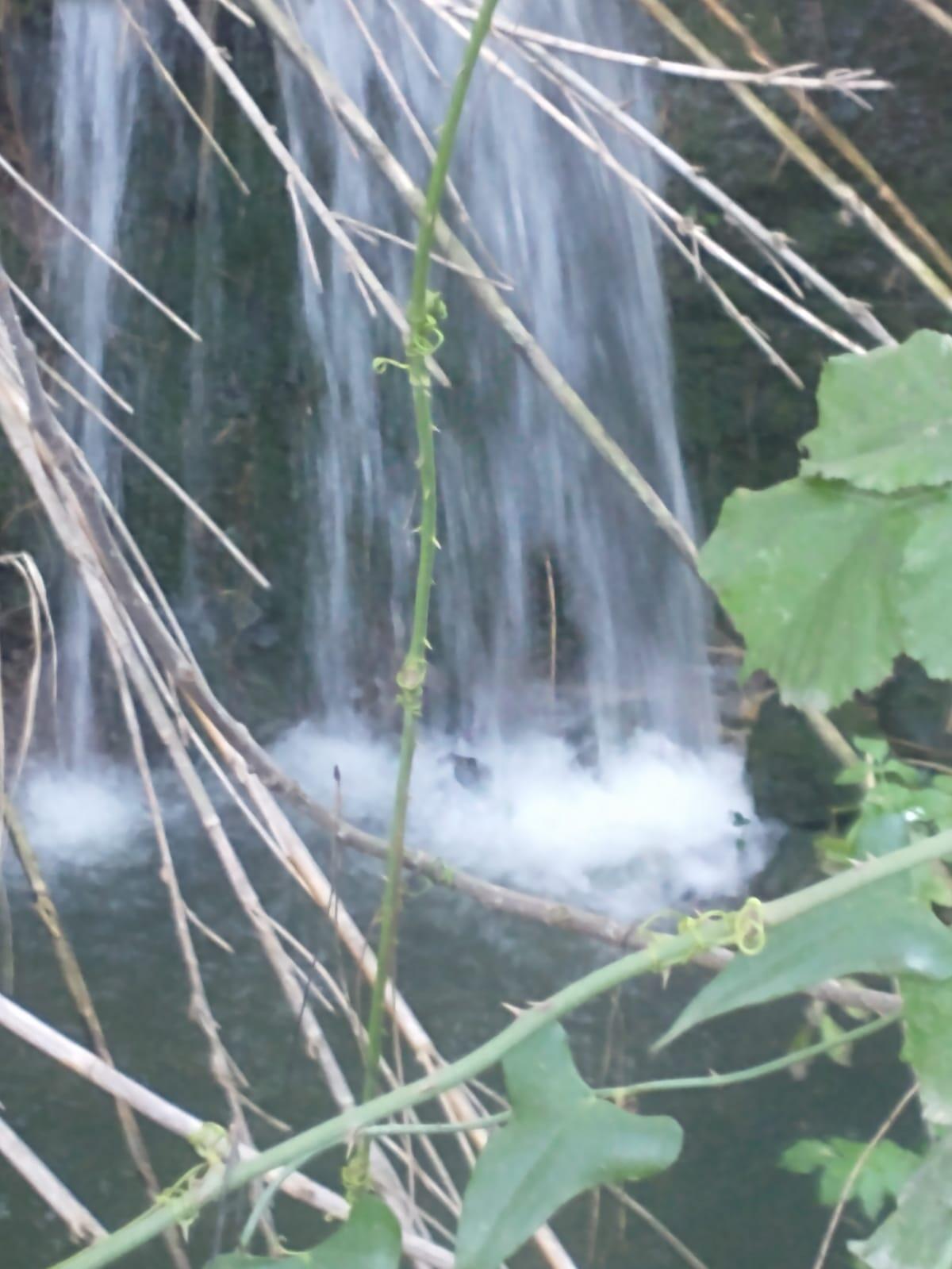 Sversamenti nel fosso che attraversa il quartiere Bellavista, ad Aprilia: il Comitato chiede interventi e soluzioni. - 