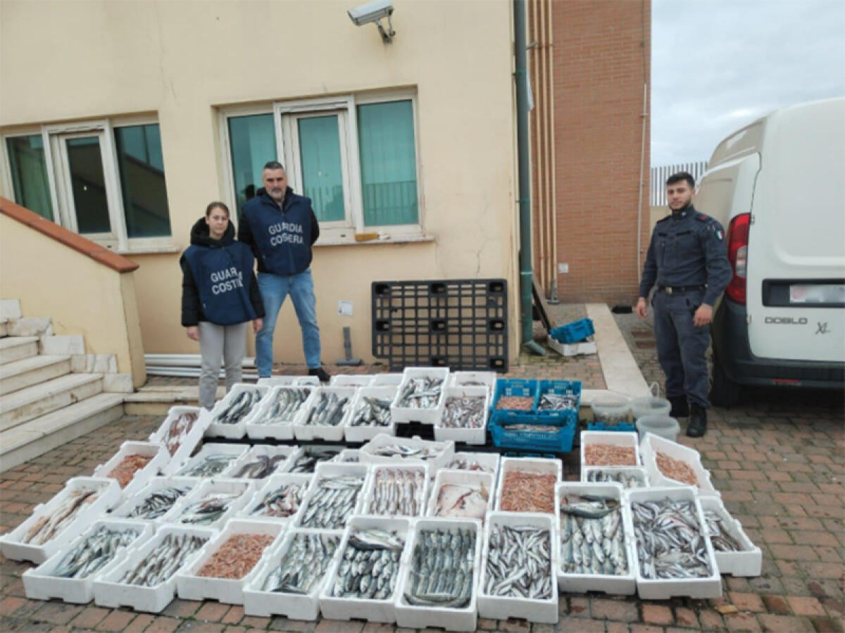 Sequestrati dalla Guardia Costiera al porto di Anzio 260 chili di prodotti ittici. - 
